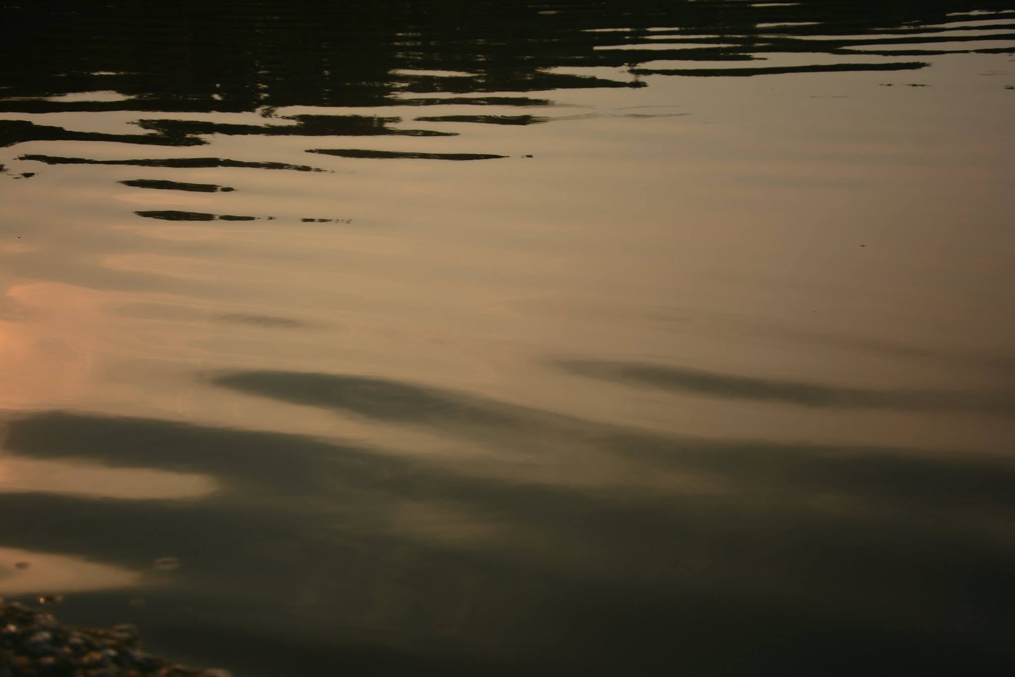 Ramshagar Dighi, Dinajpur, Bangladesh