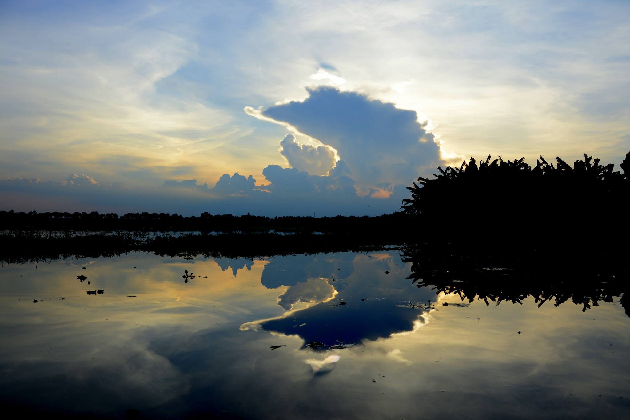 Chinadanga Beel, Natore, Bangladesh