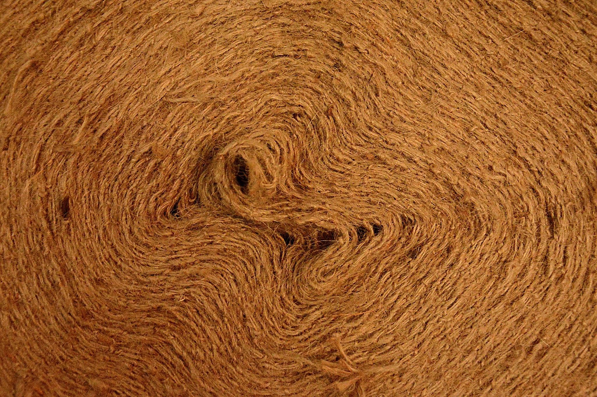 Jute Mill, Natore, Bangladesh