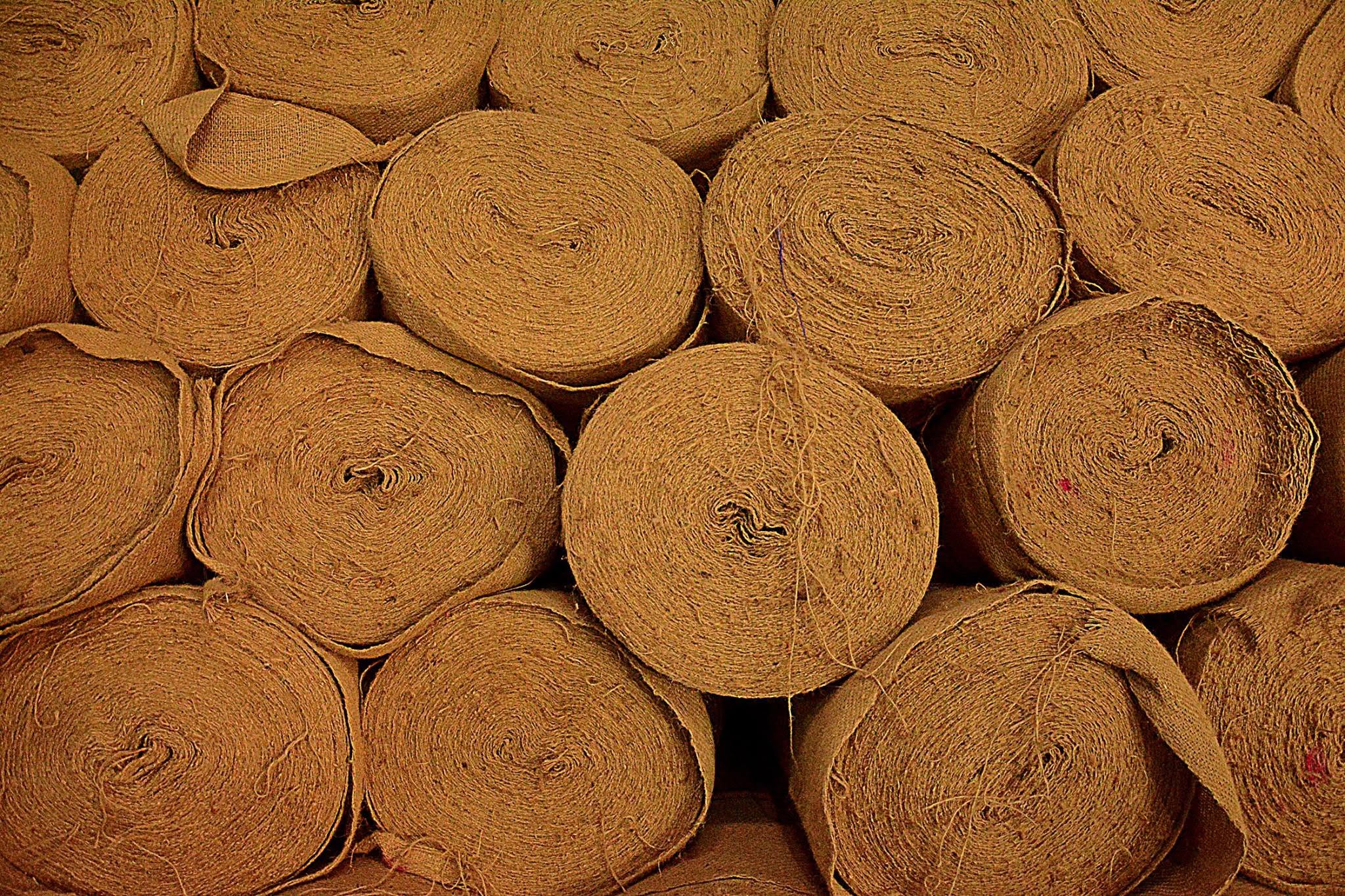 Jute Mill, Natore, Bangladesh