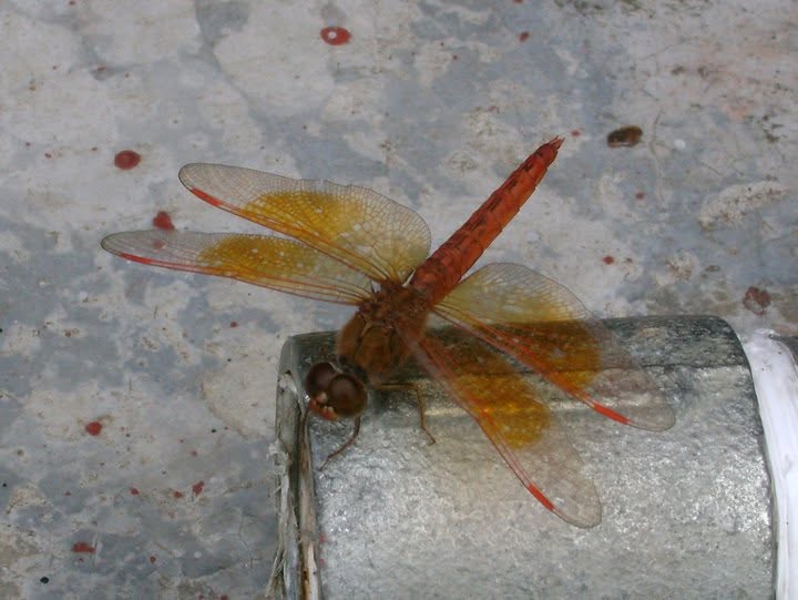 Keraniganj, Bangladesh