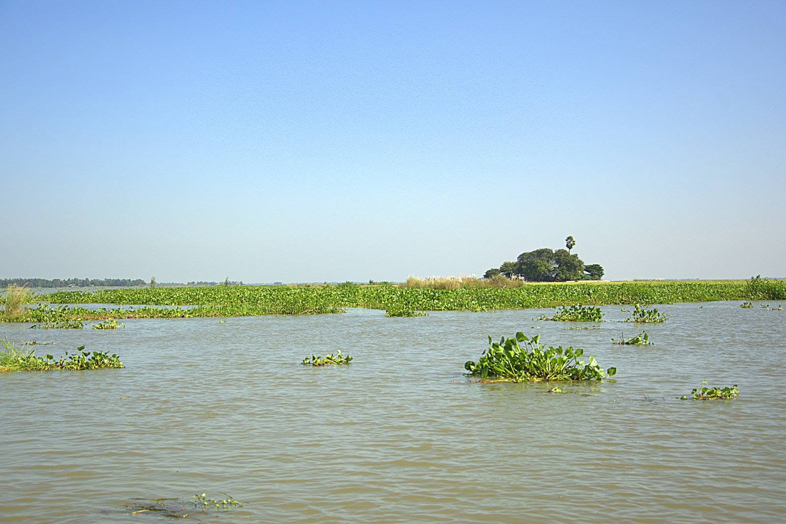 Shrine of Hazrat Ghashi Dewan (R), Natore, Bangladesh