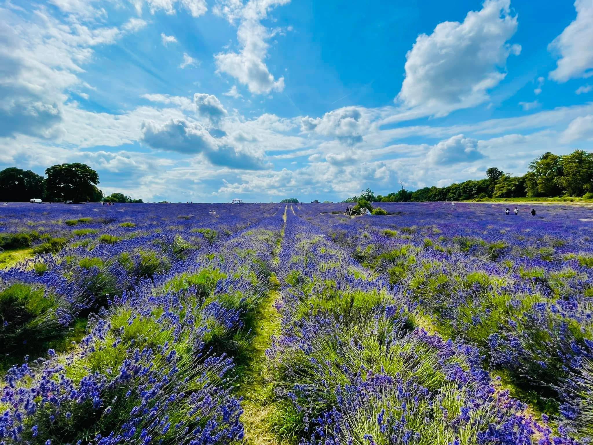 Somewhere near London
