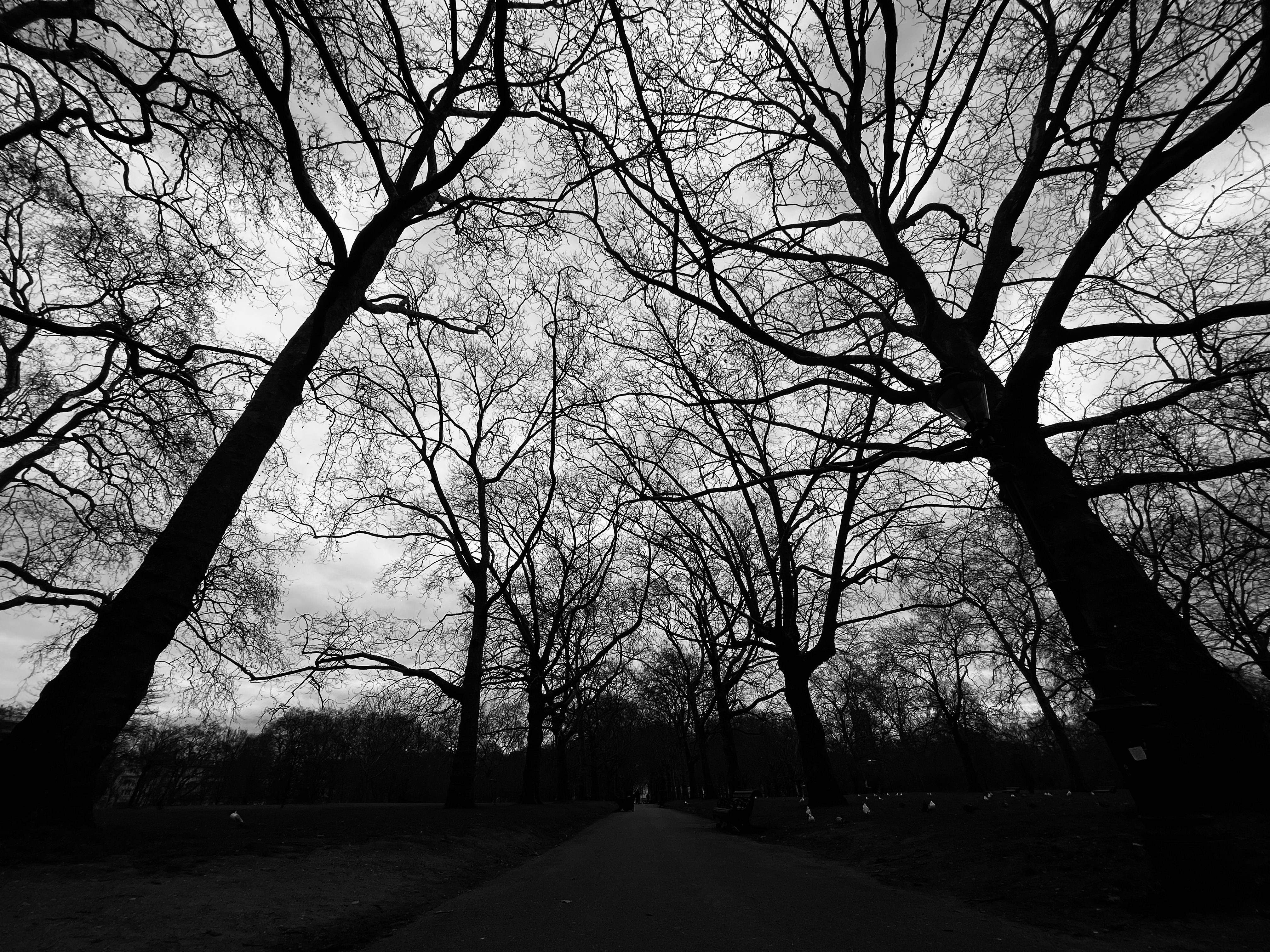 Buckingham Palace Garden, London