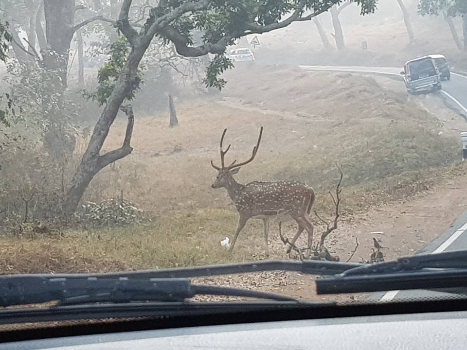Ooty, India