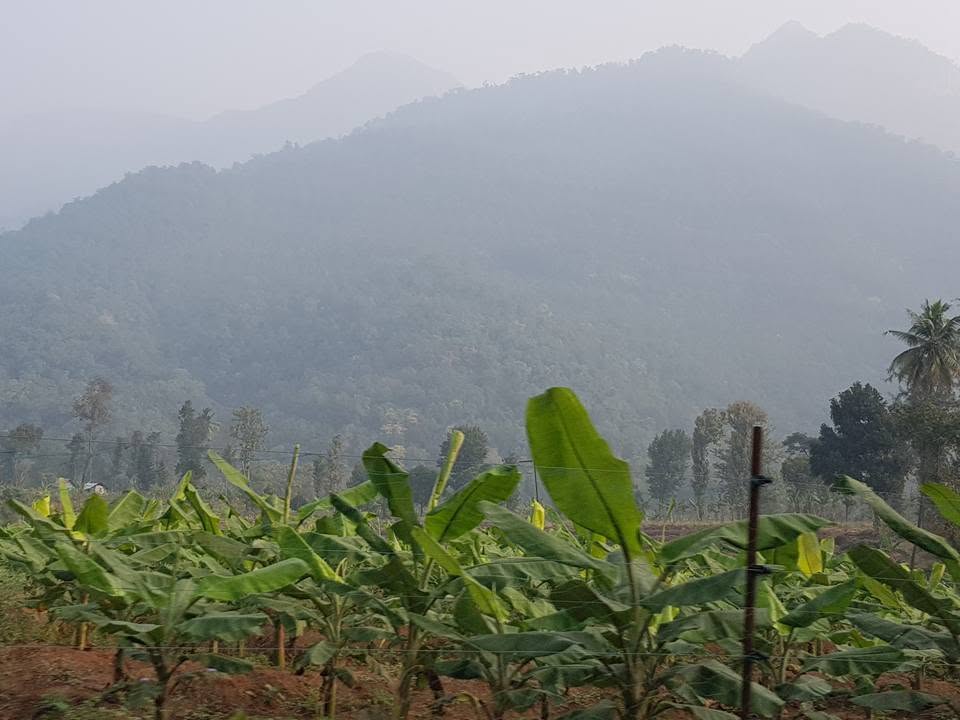 Ooty, India