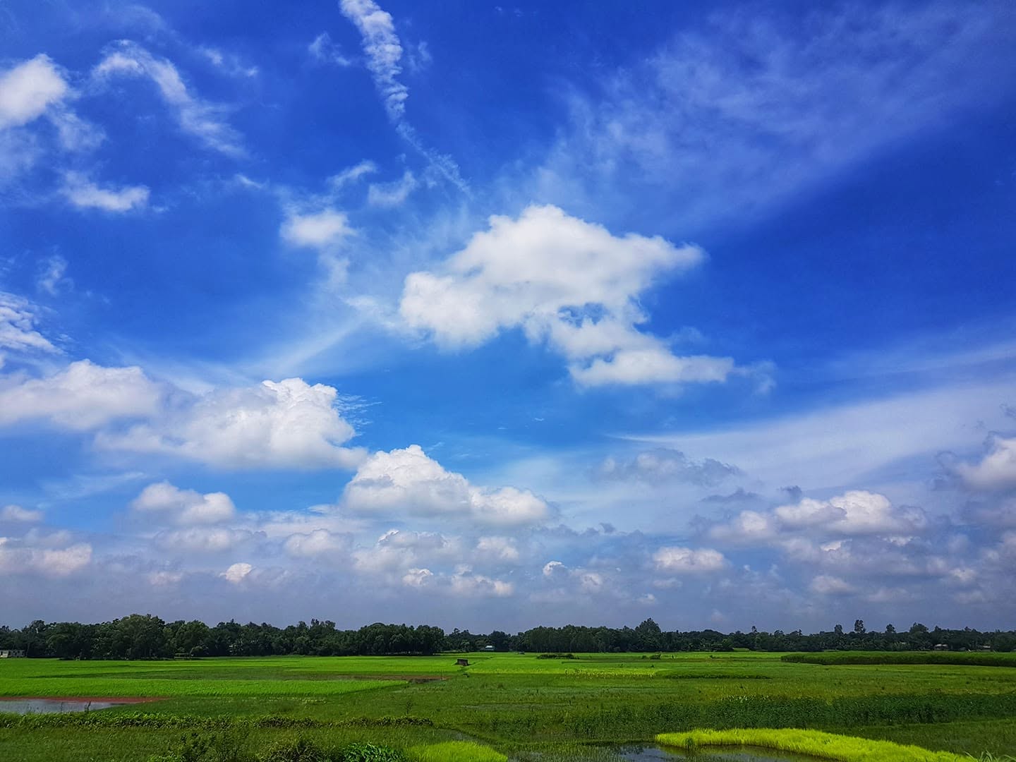 Tarash Upazilla, Sirajgonj, Bangladesh