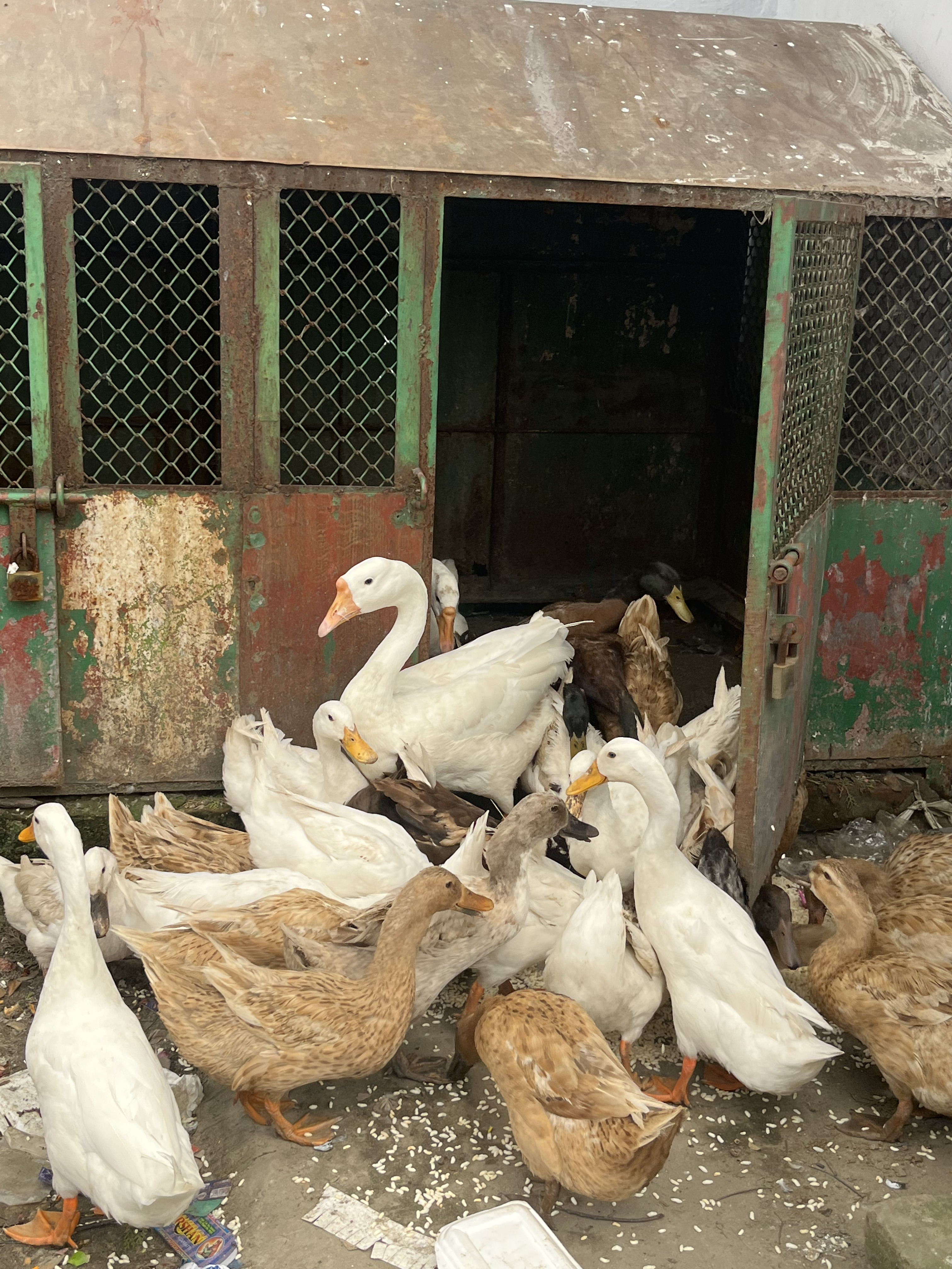 Residents of Imambara, Dhaka, Bangladesh