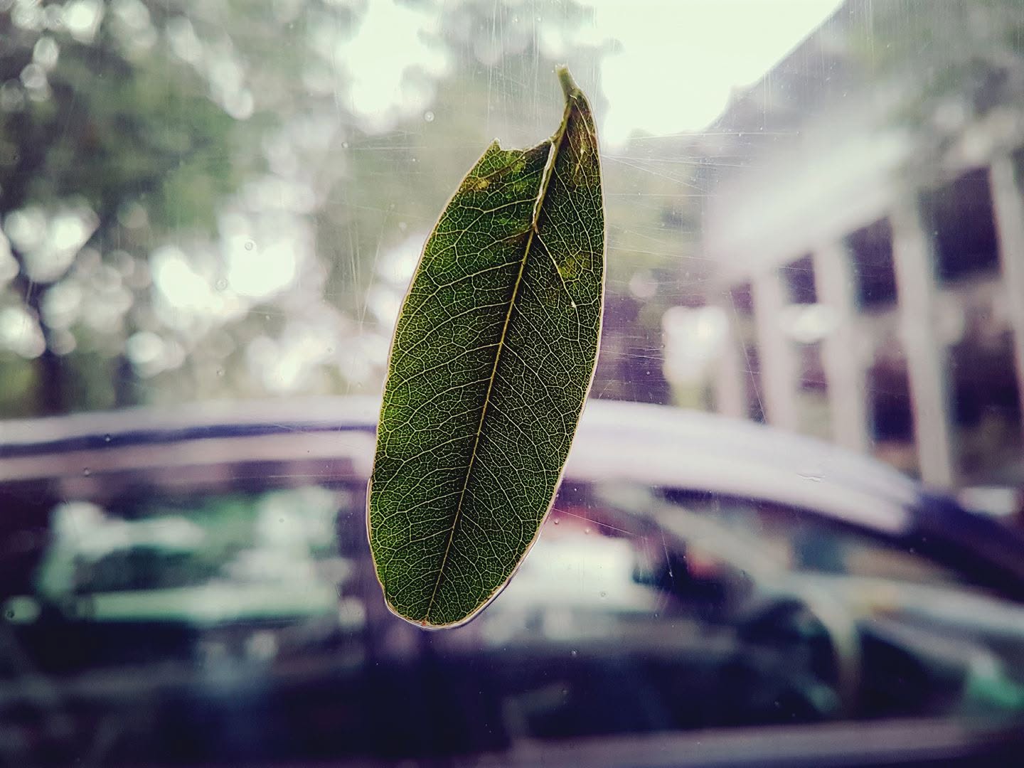 Dhaka University, Bangladesh