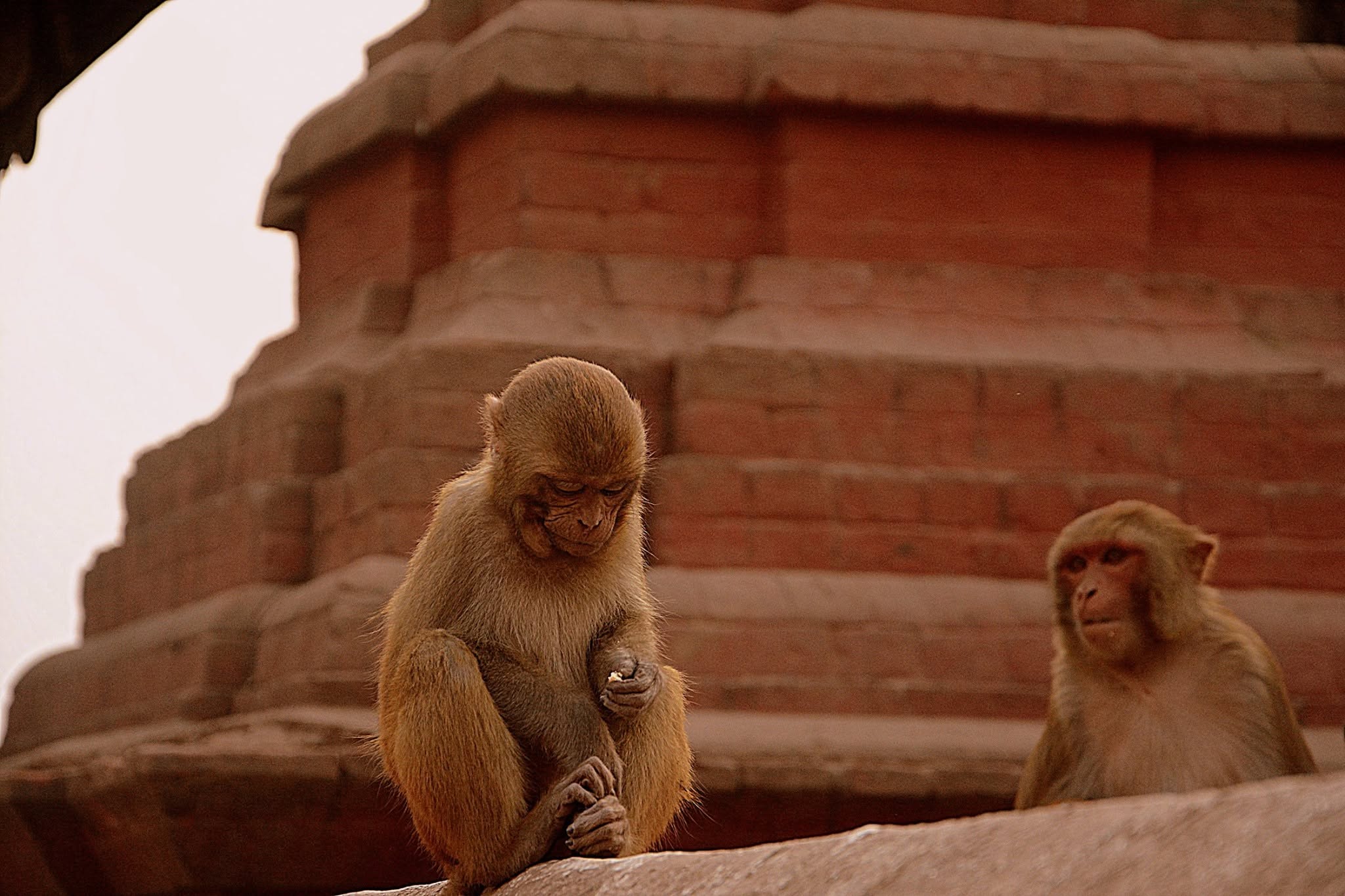 Kathmandu, Nepal