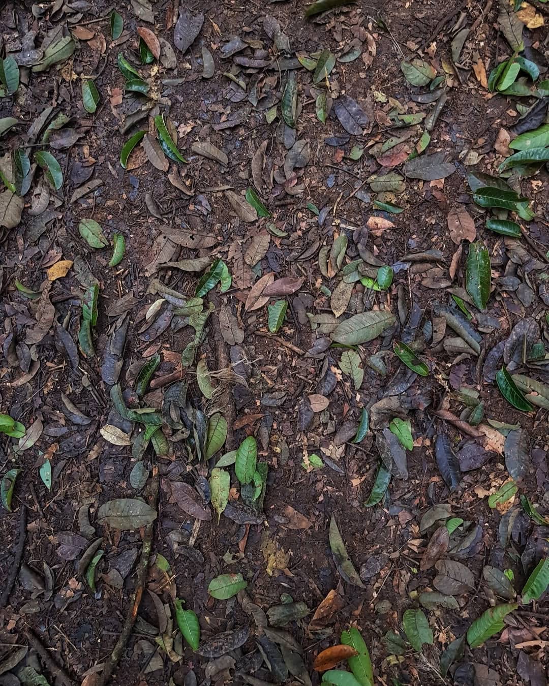 Meghalaya, India