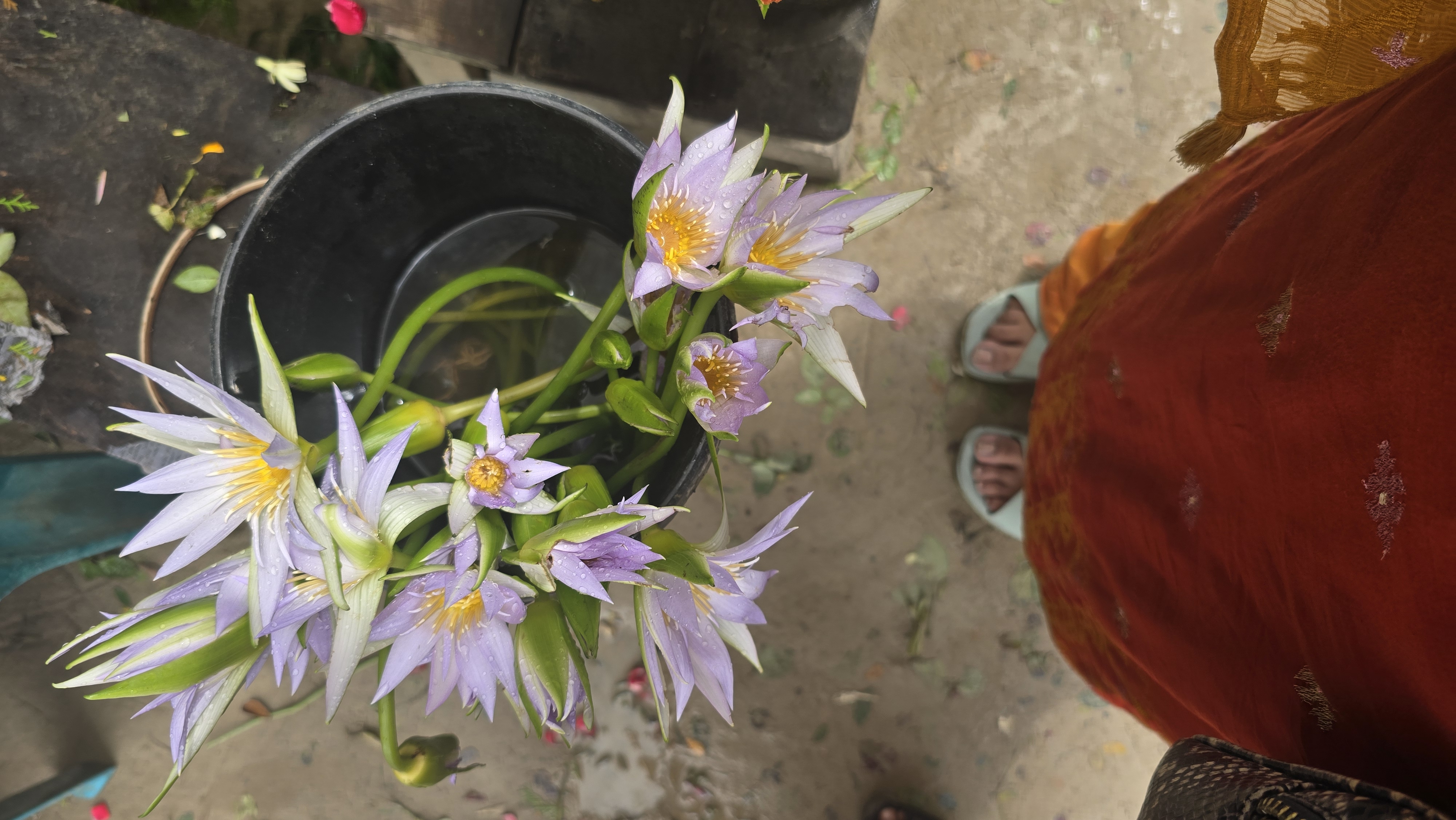 Godkhali, Jhikargacha, Jessore, Bangladesh