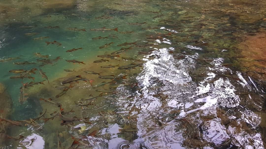 Meghalaya, India
