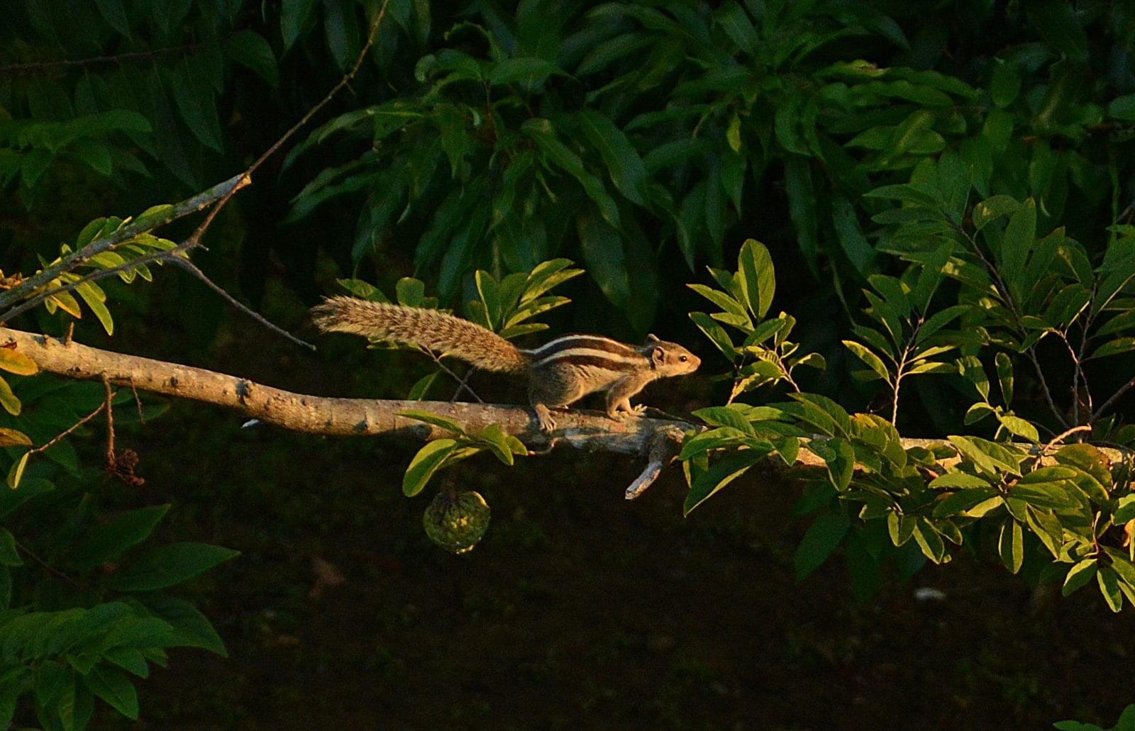 Natore, Bangladesh