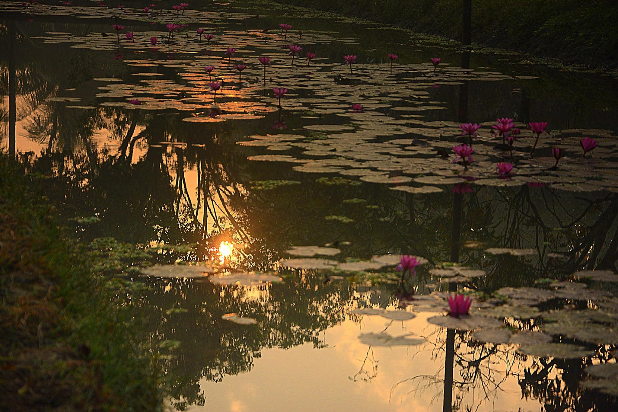 Natore, Bangladesh