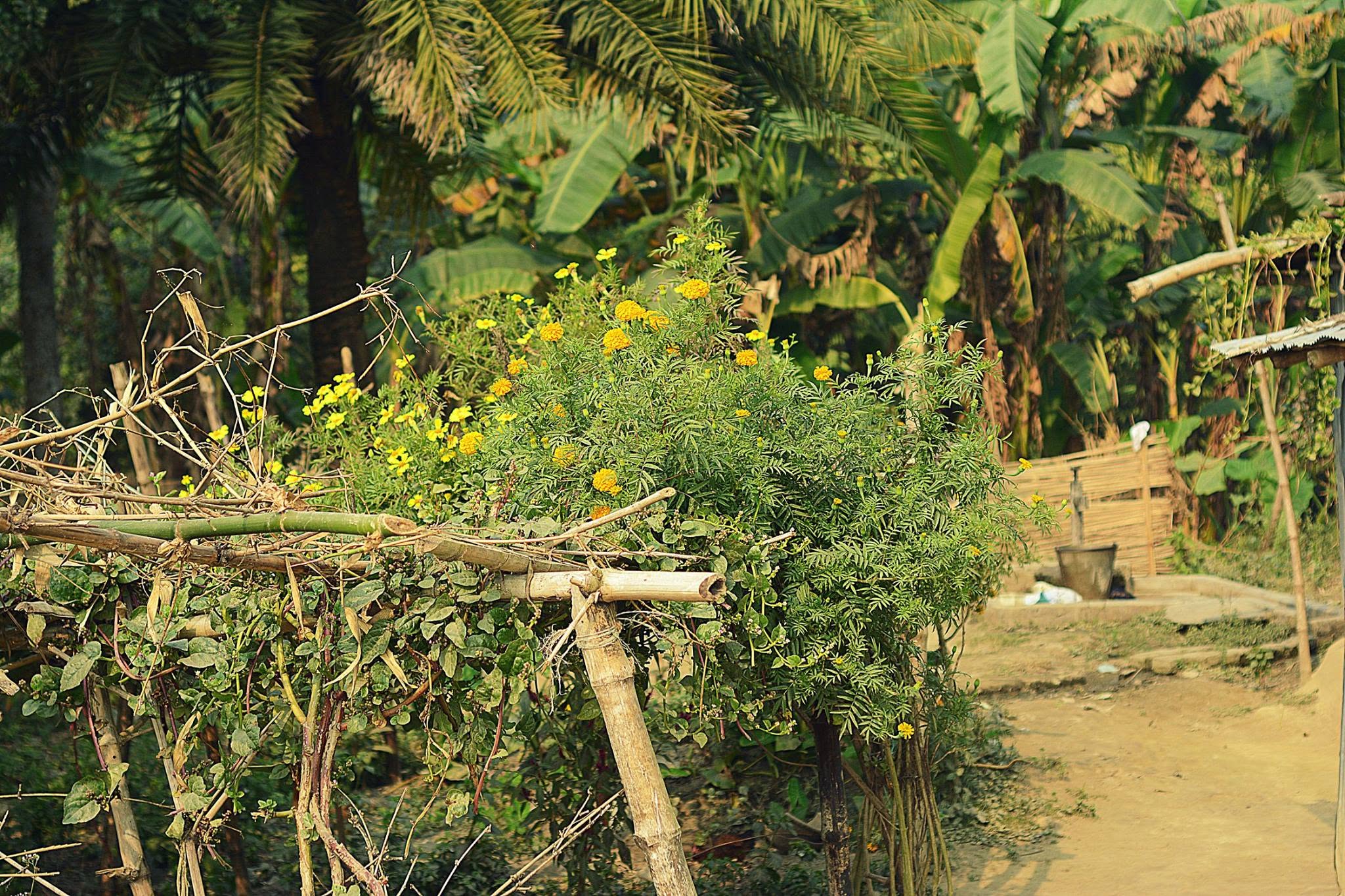 Natore, Bangladesh