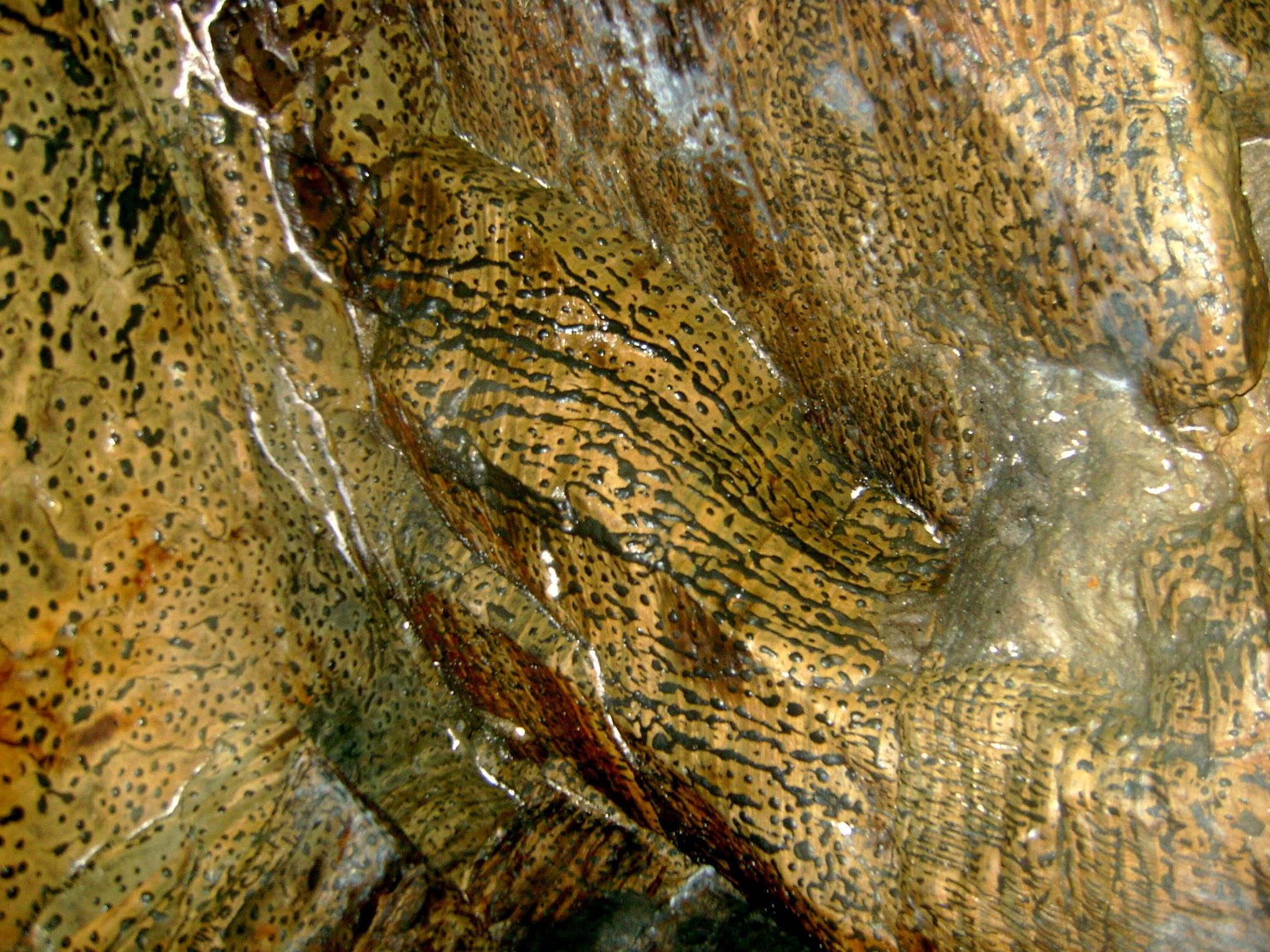 Inside Alutila Cave, Khagrachari, Bangladesh